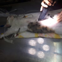 Chirurgie3