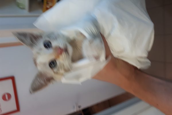 20190606_183540