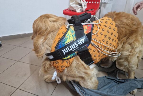 Holter veterinar